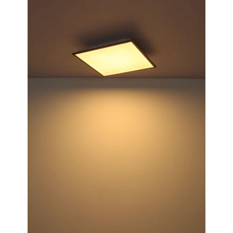 Потолочный светодиодный светильник Globo Doro 416080D2, LED 24W - миниатюра 4