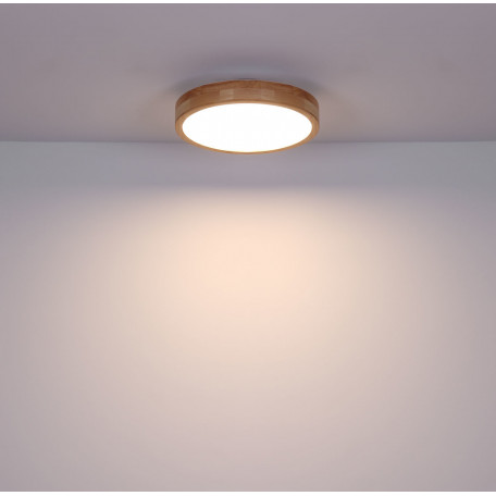 Потолочный светодиодный светильник Globo Rainer 41745-24, LED 24W - миниатюра 7