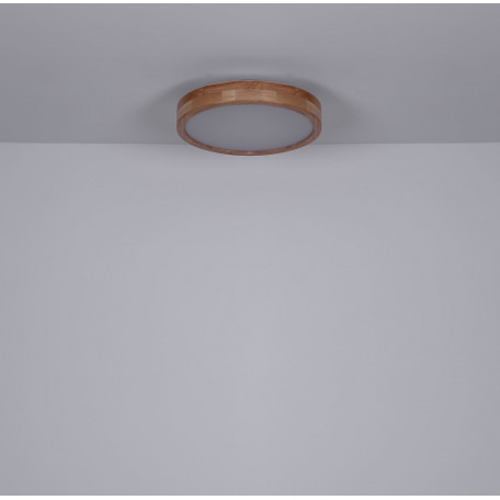 Потолочный светодиодный светильник Globo Rainer 41745-24, LED 24W - миниатюра 8