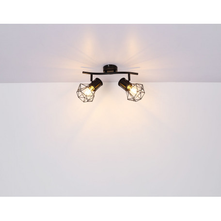 Потолочный светильник с регулировкой направления света Globo Priska 54017-2, 2xE27x40W - миниатюра 7