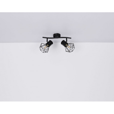 Потолочный светильник с регулировкой направления света Globo Priska 54017-2, 2xE27x40W - миниатюра 8