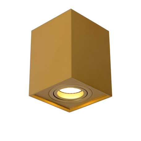 Потолочный светильник Lucide Tube 22953/01/02, 1xGU10x50W - миниатюра 1