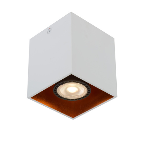 Потолочный светильник Lucide Bodibis 22966/01/31, 1xGU10x50W - миниатюра 1