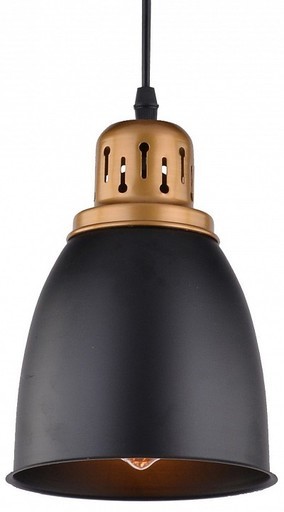 Подвесной светильник Arte Lamp Eurica A4248SP-1BK, 1xE27x60W, черный, металл - фото 3