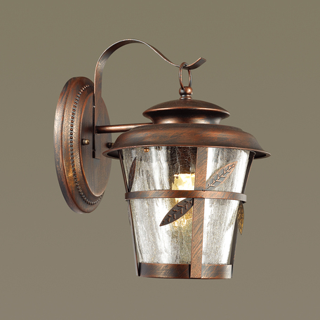 Настенный фонарь Odeon Light Aletti 4052/1W, IP44, 1xE27x60W, коричневый, прозрачный, металл, стекло - миниатюра 1