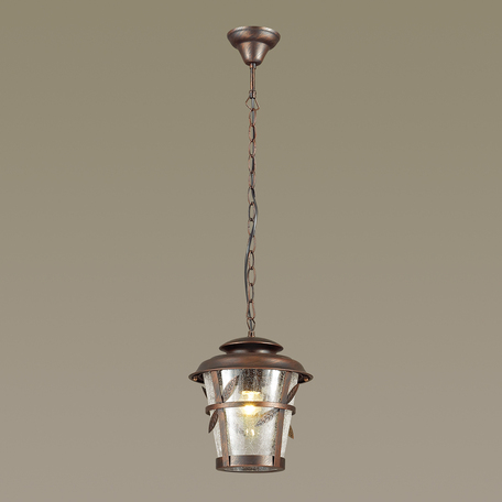 Подвесной светильник Odeon Light Aletti 4052/1, IP44, 1xE27x60W, коричневый, прозрачный, металл, стекло