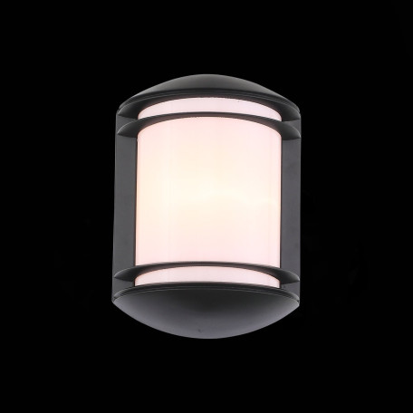 Настенный светильник ST Luce Agio SL076.401.01, IP44, 1xE27x60W - миниатюра 3