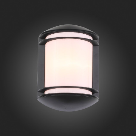Настенный светильник ST Luce Agio SL076.401.01, IP44, 1xE27x60W - миниатюра 4