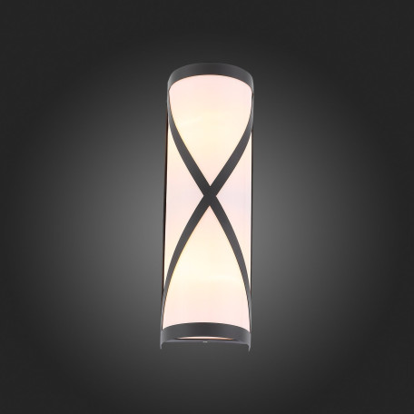 Настенный светильник ST Luce Agio SL076.411.01, IP44, 2xE27x60W - миниатюра 4