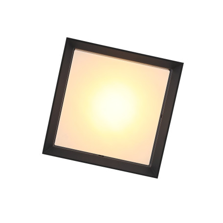 Потолочный светодиодный светильник ST Luce Cubista SL077.402.01, IP54, LED 12W 3000K - миниатюра 6