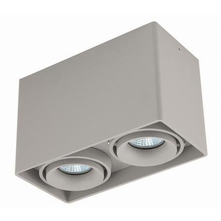 Потолочный светильник Donolux DL18610/02WW-SQ Silver Grey - миниатюра 1