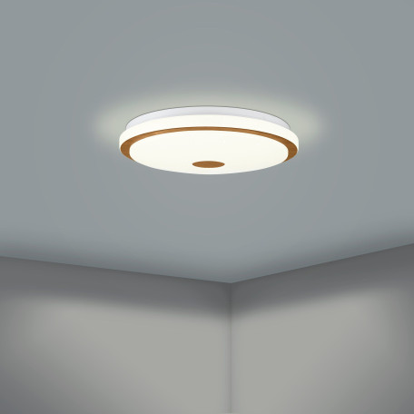 Потолочный светодиодный светильник Eglo Lanciano 1 900598, LED 24W 2600lm - миниатюра 3