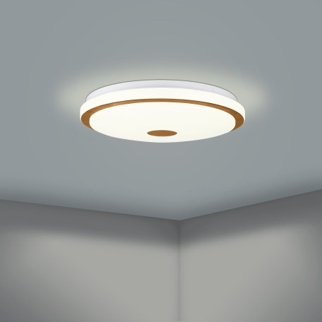 Потолочный светодиодный светильник Eglo Lanciano 1 900599, LED 35W 3300lm - миниатюра 3
