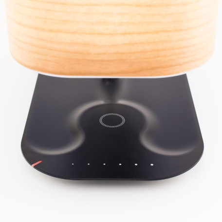 Музыкальный настольная светодиодная лампа Citilux Ньютон CL803042, LED 4W 3000K 260lm - миниатюра 13