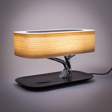 Музыкальный настольная светодиодная лампа Citilux Ньютон CL803042, LED 4W 3000K 260lm - миниатюра 6