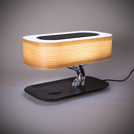 Музыкальный настольная светодиодная лампа Citilux Ньютон CL803042, LED 4W 3000K 260lm - миниатюра 9