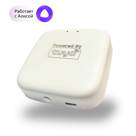 Wi-Fi-адаптер Denkirs Smart Control DK7400-WF