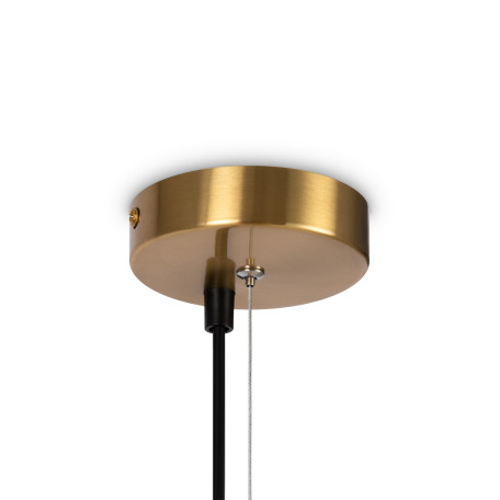 Подвесной светильник Freya Blossom FR5259PL-04BS, 4xG9x25W - миниатюра 10