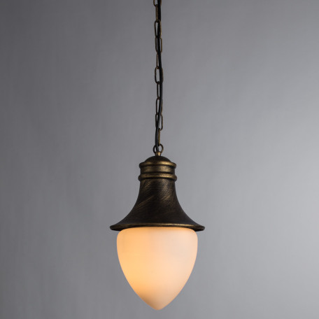 Подвесной светильник Arte Lamp Vienna A1317SO-1BN, IP44, 1xE27x75W, черненое золото, металл, ковка, металл со стеклом - фото 2