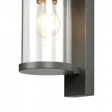 Настенный фонарь Favourite Lukturis 3038-1W, IP44, 1xE27x60W, прозрачный с черным, черный с прозрачным - миниатюра 3