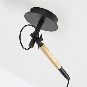 Потолочный светильник F-Promo Eureka 3006-1P, 1xE27x60W - миниатюра 5