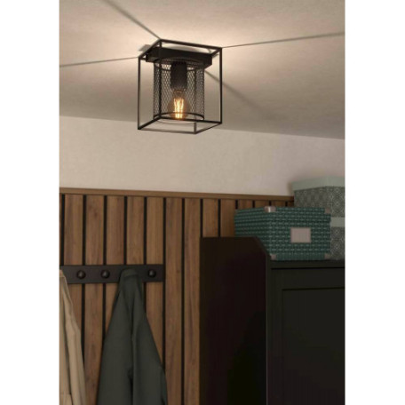 Потолочный светильник Eglo Catterick 43771, 1xE27x40W - миниатюра 3