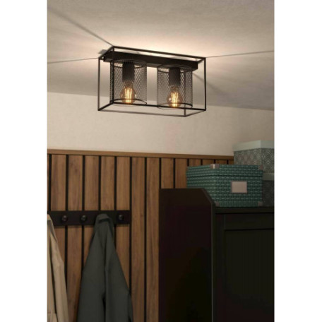 Потолочный светильник Eglo Catterick 43772, 2xE27x40W - миниатюра 4