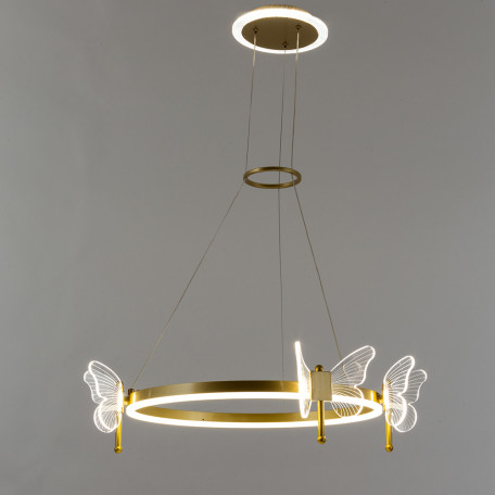 Подвесная светодиодная люстра Arte Lamp Darcy A2187LM-1GO, LED 72W 3000-6000K 4700lm CRI≥80, кольцо с бабочками - миниатюра 2