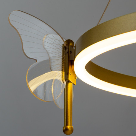 Подвесная светодиодная люстра Arte Lamp Darcy A2187LM-1GO, LED 72W 3000-6000K 4700lm CRI≥80, кольцо с бабочками - миниатюра 4
