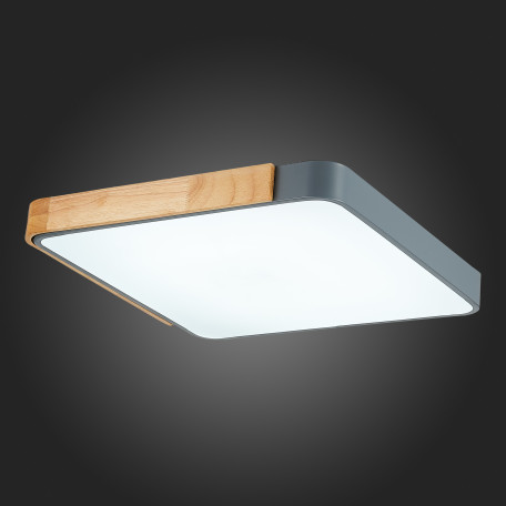 Потолочный светодиодный светильник Evoluce Festa SLE201272-01, LED 42W - миниатюра 10