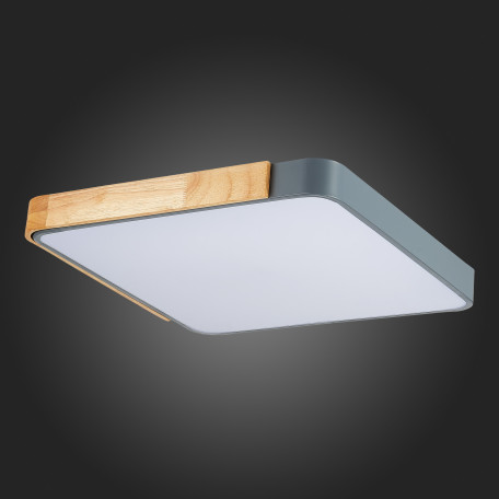 Потолочный светодиодный светильник Evoluce Festa SLE201272-01, LED 42W - миниатюра 12