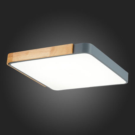 Потолочный светодиодный светильник Evoluce Festa SLE201272-01, LED 42W - миниатюра 6