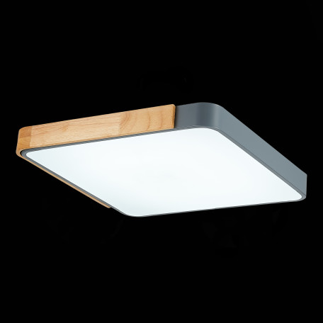 Потолочный светодиодный светильник Evoluce Festa SLE201272-01, LED 42W - миниатюра 9