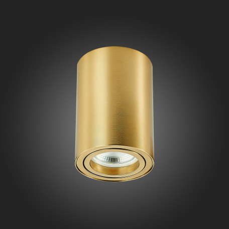 Потолочный светильник ST Luce Torus ST108.207.01, 1xGU10x50W - миниатюра 6