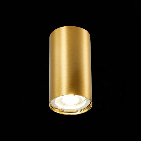 Потолочный светильник ST Luce Simplus ST110.207.01, 1xGU10x50W - миниатюра 3