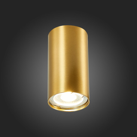 Потолочный светильник ST Luce Simplus ST110.207.01, 1xGU10x50W - миниатюра 4