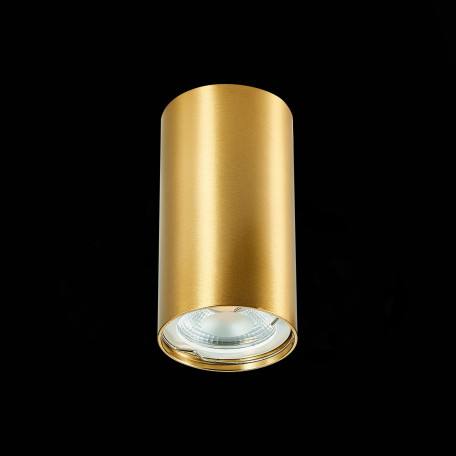 Потолочный светильник ST Luce Simplus ST110.207.01, 1xGU10x50W - миниатюра 5