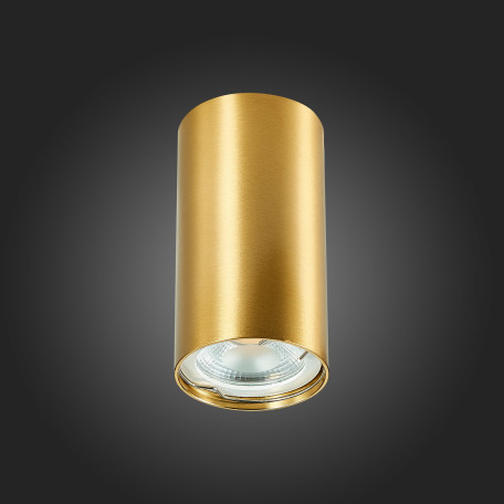 Потолочный светильник ST Luce Simplus ST110.207.01, 1xGU10x50W - миниатюра 6