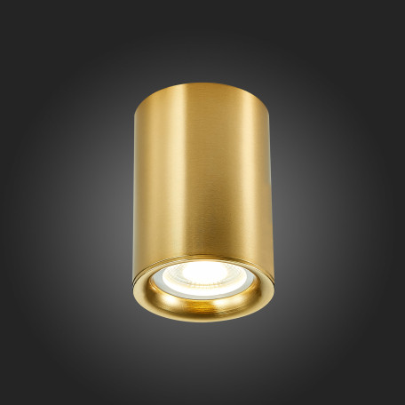 Потолочный светильник ST Luce ST114.207.01, 1xGU10x50W - миниатюра 4