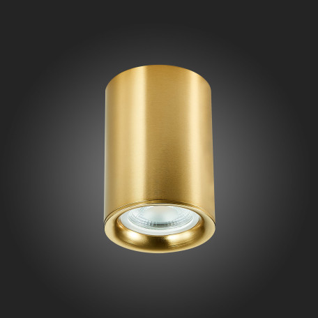 Потолочный светильник ST Luce ST114.207.01, 1xGU10x50W - миниатюра 6