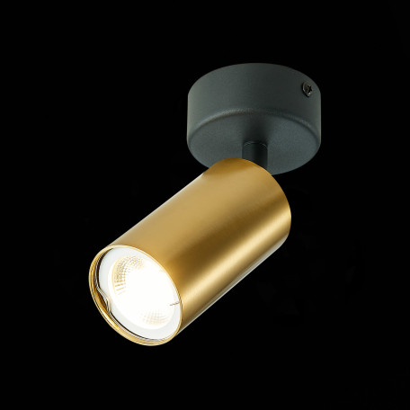 Потолочный светильник с регулировкой направления света ST Luce Dario ST303.202.01, 1xGU10x50W - миниатюра 3