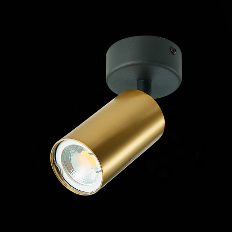 Потолочный светильник с регулировкой направления света ST Luce Dario ST303.202.01, 1xGU10x50W - миниатюра 5