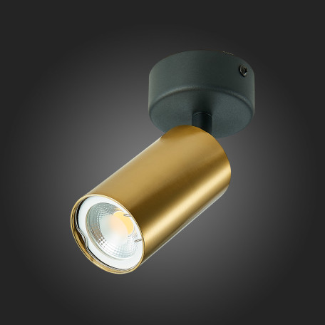 Потолочный светильник с регулировкой направления света ST Luce Dario ST303.202.01, 1xGU10x50W - миниатюра 6