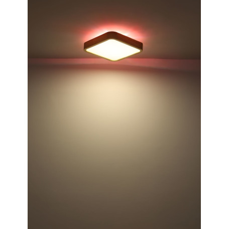 Потолочный светодиодный светильник Globo Leanara 41755-24, LED 24W RGB 960lm - миниатюра 10