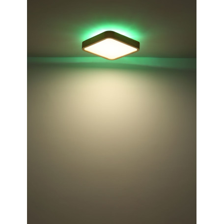 Потолочный светодиодный светильник Globo Leanara 41755-24, LED 24W RGB 960lm - миниатюра 11
