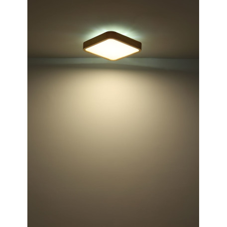 Потолочный светодиодный светильник Globo Leanara 41755-24, LED 24W RGB 960lm - миниатюра 9