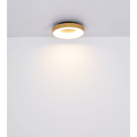 Потолочный светодиодный светильник Globo Jolli 41758-30B, LED 30W 1800lm - миниатюра 7