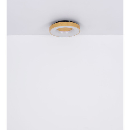 Потолочный светодиодный светильник Globo Jolli 41758-30B, LED 30W 1800lm - миниатюра 8