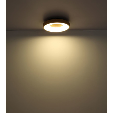 Потолочный светодиодный светильник Globo Jolli 41758-42C, LED 42W 2500lm - миниатюра 7