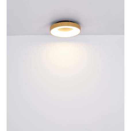 Потолочный светодиодный светильник Globo Jolli 41758-42C, LED 42W 2500lm - миниатюра 8